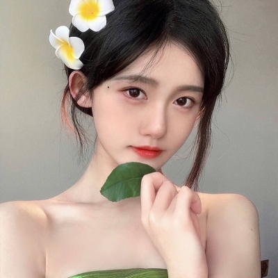 猫咪度假村游戏