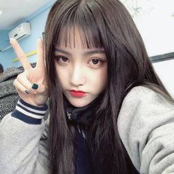 盾之勇者成名录rise台服下载
